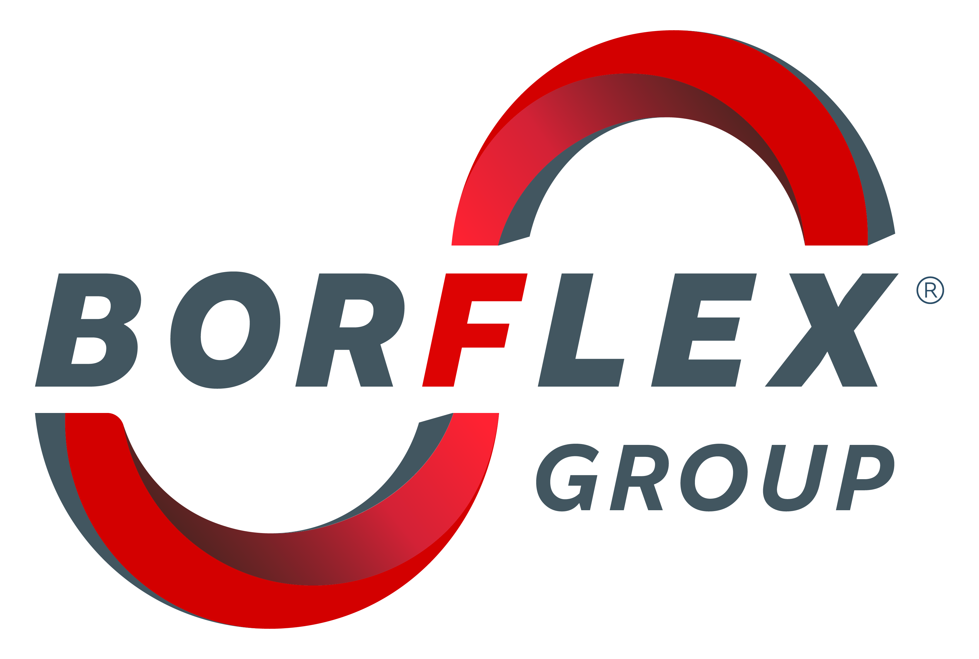Logo - BORFLEX GROUP - quadri
