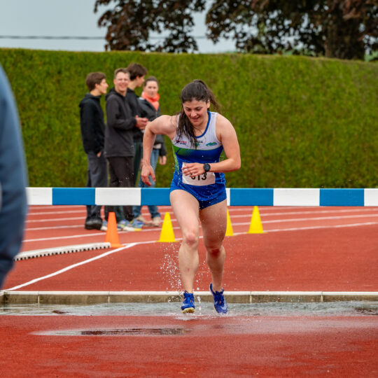 Léana - steeple